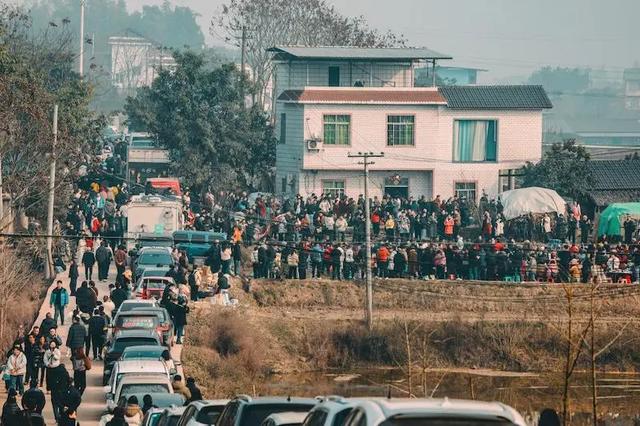 是画蛇添足，还是锦上添花？透过合川文旅的“骚操作”看南充—