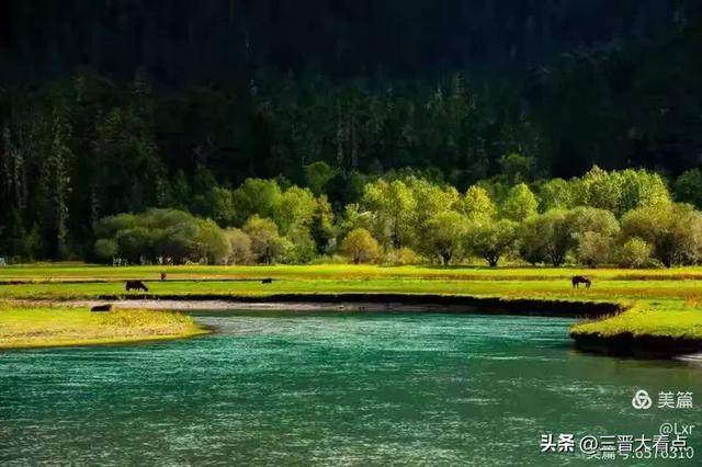 北欧旅游印象之十一:哈当厄尔峡湾苹果园