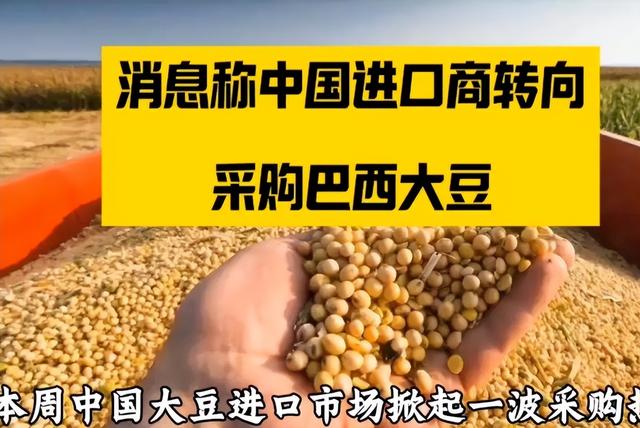到手的肥肉飞了！巴西大豆疯狂溢价 中国反手砸130 万订单给阿根廷