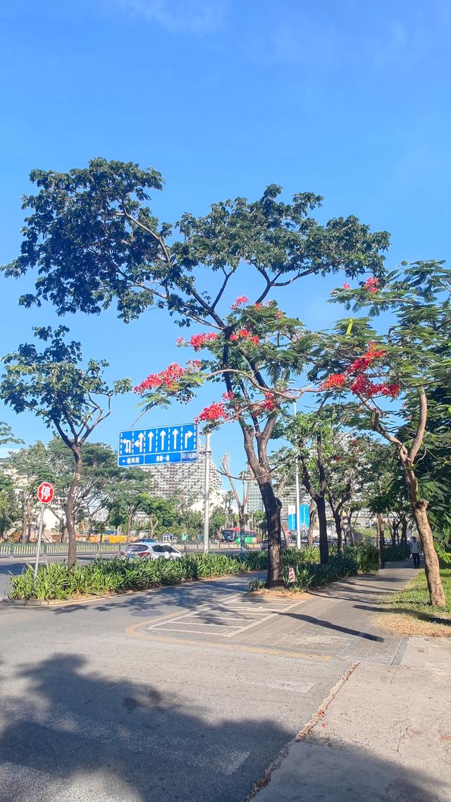 从新疆自驾到海南，车辆的消费怎样？