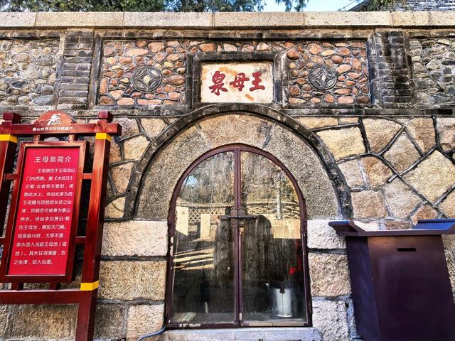 泰山王母池蜡梅初绽 花叶同枝尽显冬日诗意