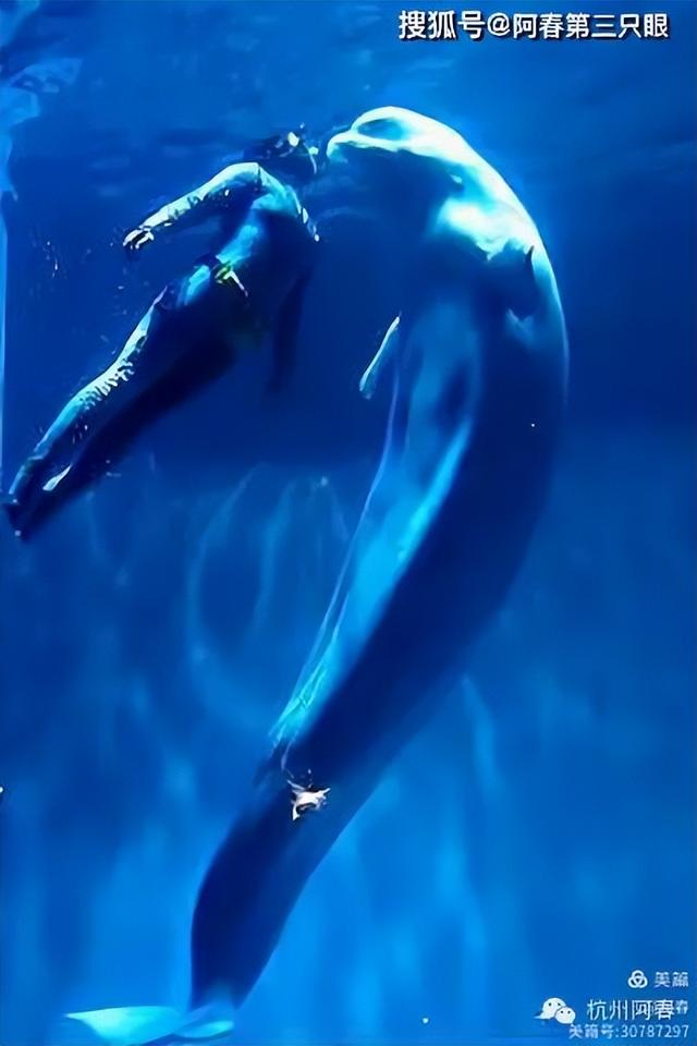 大连 之海洋世界