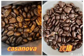 咖啡乐趣 ：50元口粮咖啡豆：我的618咖啡豆囤货清单图片