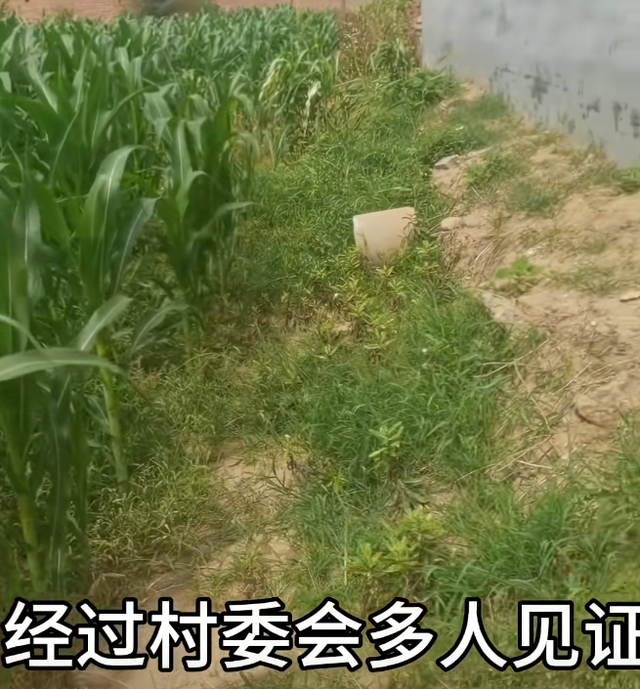 河北一家5口惨遭灭门！父亲被割喉，最小孩子3岁，凶手竟是他干爹