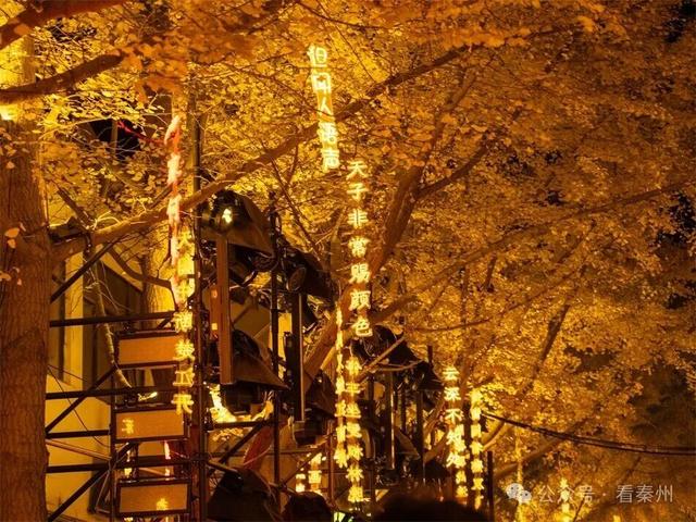 比人山人海还火爆的场面！就在天水“黄金大道”…