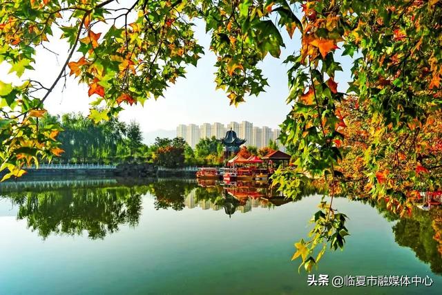 飞阅花都④丨漫步东郊公园 邂逅秋日风光 静享“天然氧吧”