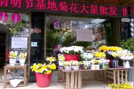 崇阳：文明祭祀成风尚 鲜花追思受青睐图片