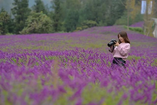 来广元月坝，解锁一场“多巴胺”初冬