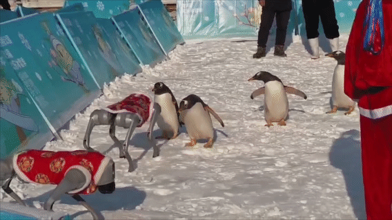 80米超长冰滑梯又双叒来啦！还有企鹅巡游