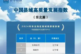 东北高质量发展十强县（2024）发布 嫩江市再创佳绩图片
