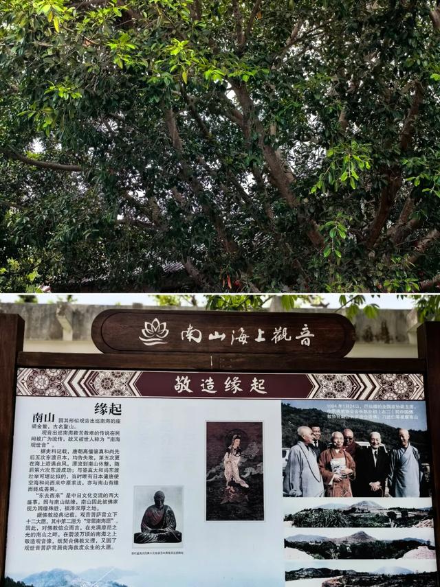 三亚4天3晚神仙游!解锁海岛浪漫天花板