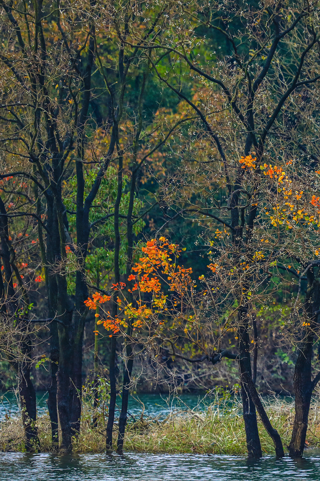 洈水的秋，慢了半拍，美了一倍