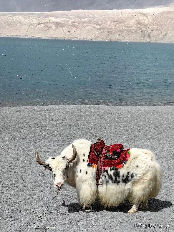 克州秋日旅行清单，解锁万山之州的N种玩法