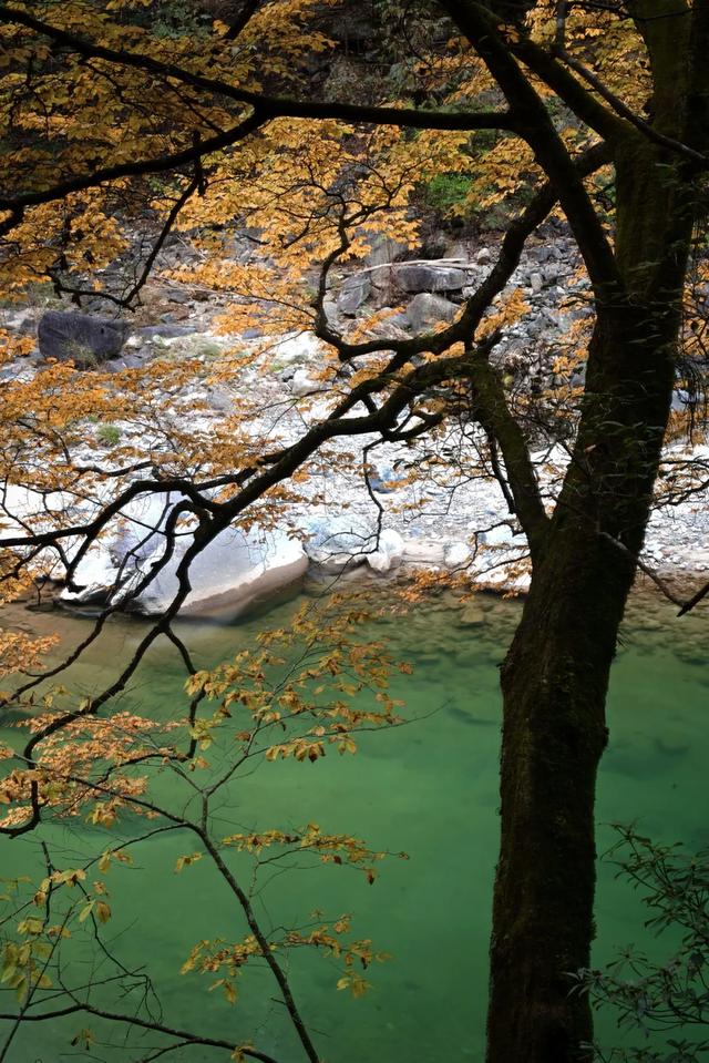 这里为何让摄影人着迷?去了才知道别有洞天