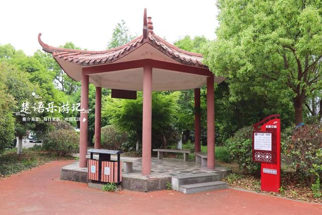 宁波江北发现一株苦楝树，临江而居很有诗意，少有人来但适合拍照