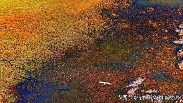 内蒙古杭锦旗：湿地秋景惹人醉
