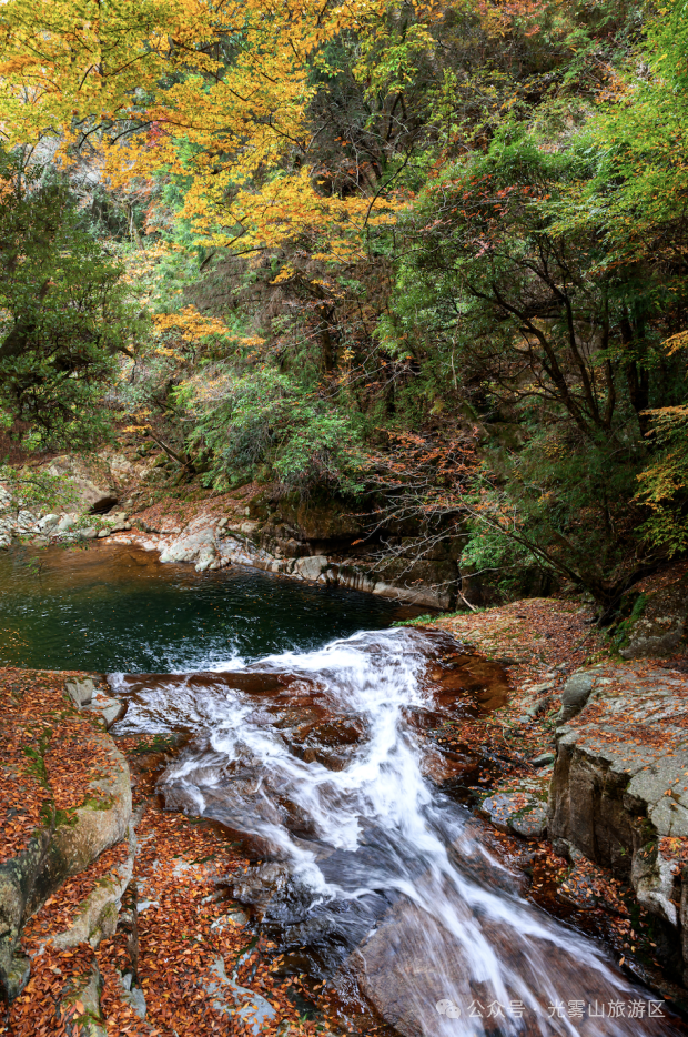 宝子你听我说，近期天气好、红叶美，光雾山可以冲了!
