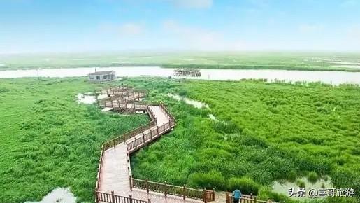 黑龙江双鸭山市雁窝岛笔记