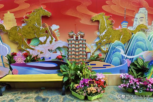 植物园迎春花展免费开放