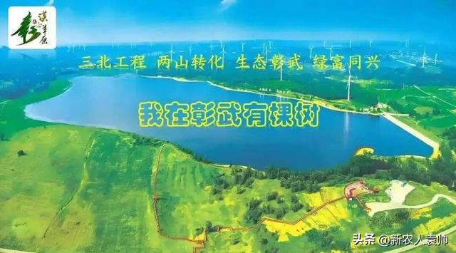 “我在彰武有棵树”生态主题研学游成果显著