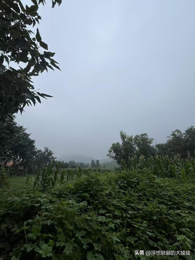 章丘大山深处有一座始建于宋元时期的古庙宇：杓峪庵