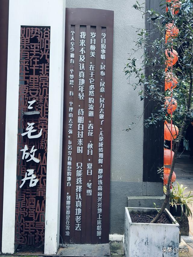 2025乙巳年11月19日 晴 气温6-13度