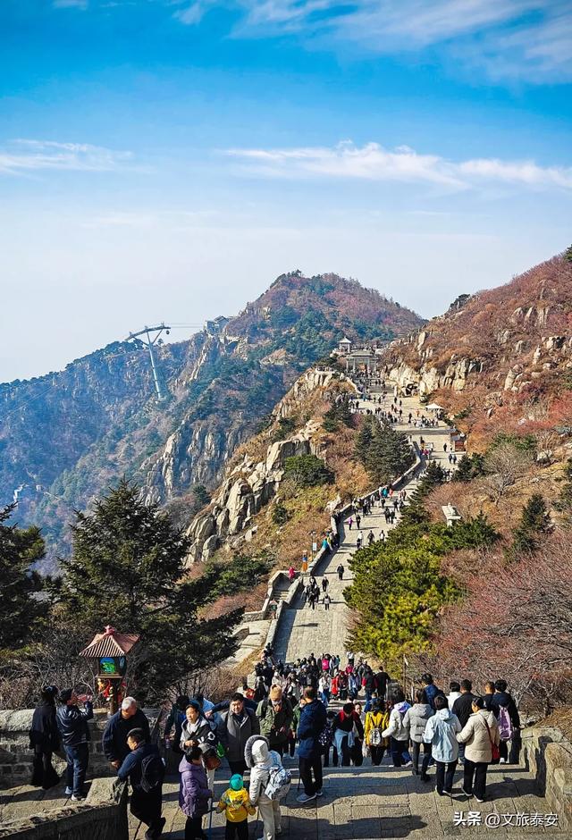 冻到发抖却爽到炸？泰山上的风景，让我懂了什么叫“ 冷并治愈着” ~