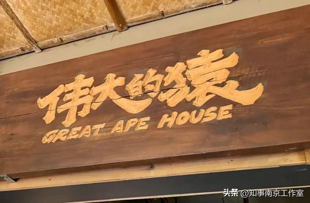 降温天逛红山动物园有多爽？