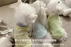 这个星座女容易被绿，选男人眼光差图片