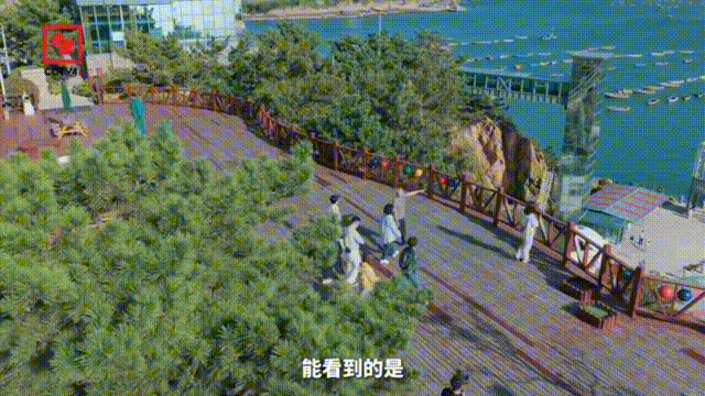 央视主持人来打卡！这里究竟有多好玩？