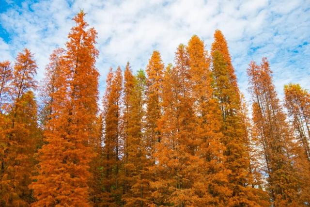 如何把1天过成N天？跟着韶关这条线路解锁瑶乡浓烈的快乐