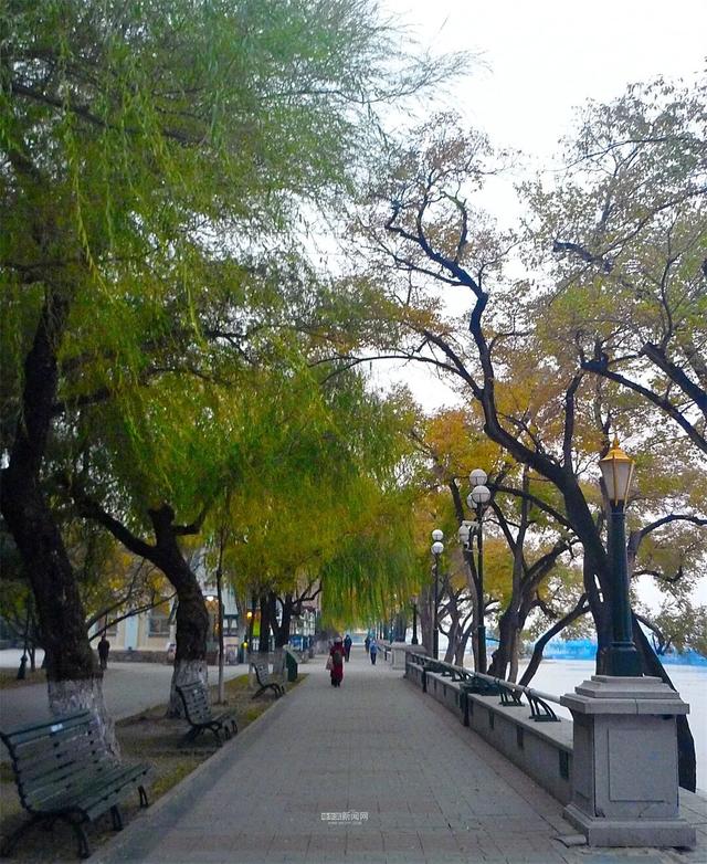 这样的哈尔滨，你见过吗？