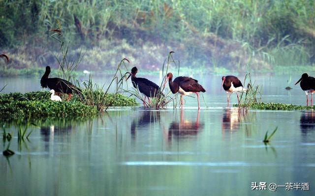自驾攻略：安徽蚌埠4天全境顺路自驾游保姆级线路