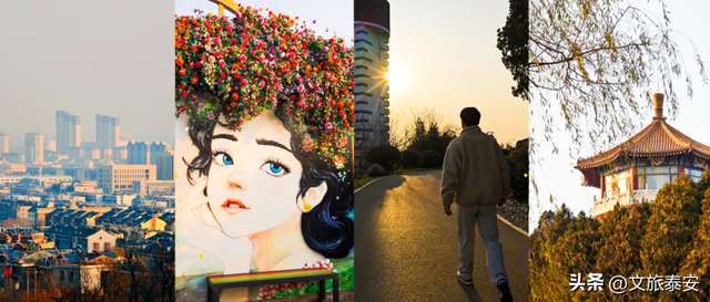 Citywalk必打卡！快来泰安这处公园，领取「浪漫可爱」的心灵治愈指南！