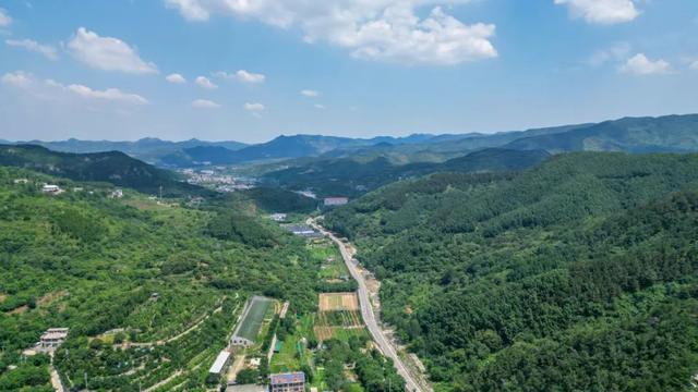 济南1h直达！西营周末新玩法：山野咖啡×秘境茶香，秒变文艺片主角！