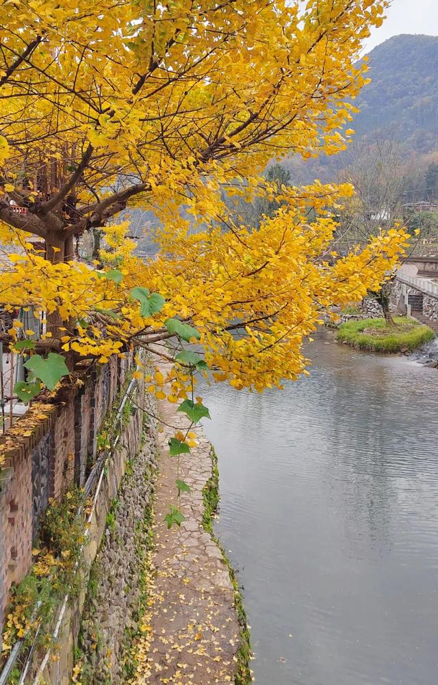 来广元月坝，解锁一场“多巴胺”初冬