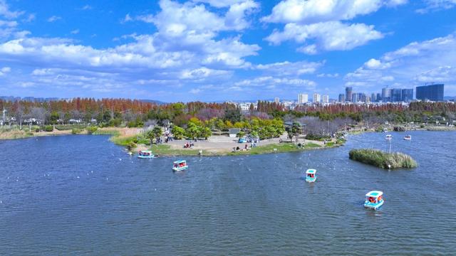 红嘴鸥来了！在哪“鸥”遇？昆明观鸥地图请查收
