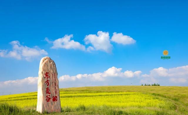 暴降10℃！呼市人最近扎堆这里，一待就是一天！全呼和浩特都在晒
