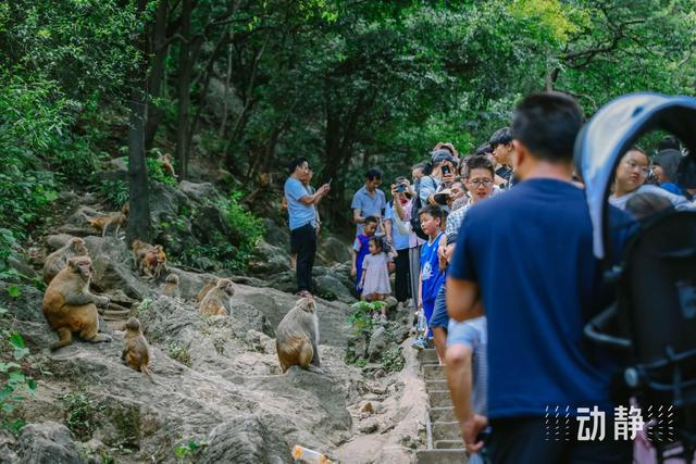 贵州避暑游有多火？两地上榜携程、美团等平台多个榜单