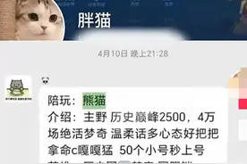 后续"胖猫事件"深度解析：一场感情悲剧引发的网络风暴图片