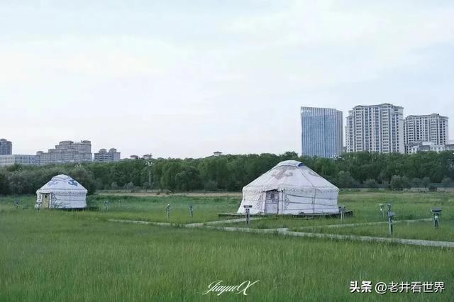 夏日再向草原行（三）内蒙古之行 文‖井明新