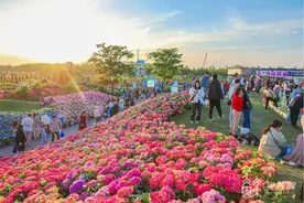 火爆！今年“五一”江苏共接待游客超三千万人次图片