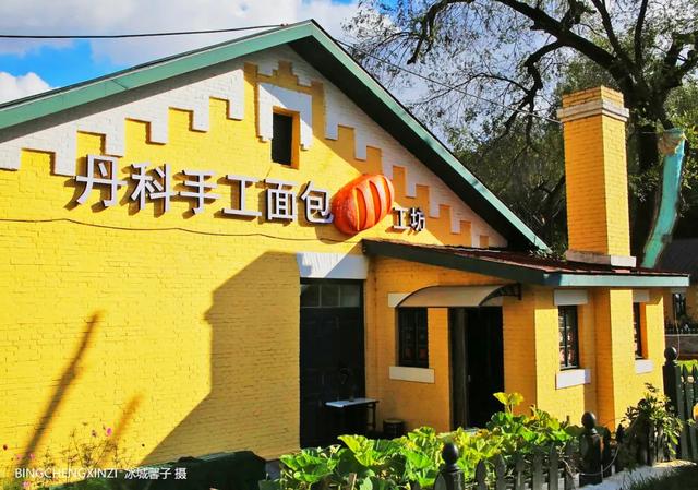 徜徉花园街区：与哈尔滨的温柔时光重逢