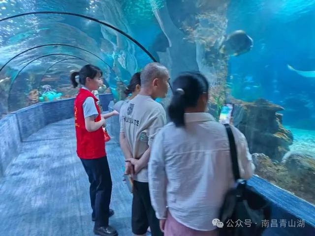 【爱我英雄城 见我文明行】南昌海洋公园：文明是旅途中最美的风景