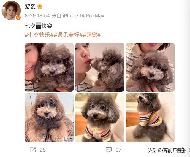 黎姿的珠光宝气，黎宣的绿叶人生：传奇电影世家的香江旧梦（上）