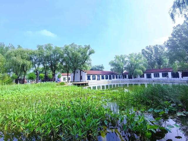 9月7日，王佐见！首届“民族风韵，多彩王佐”王佐民族文化嘉年华即将开幕