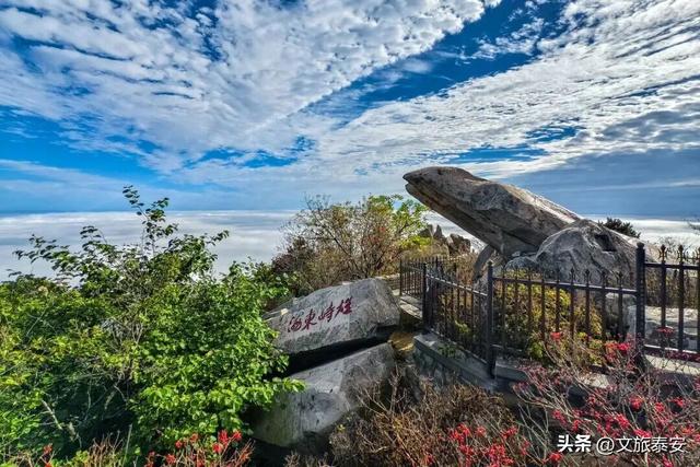 千万别在秋天来泰安，不然真的很难戒断