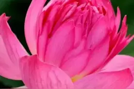 美国贸易逆差的形成真相图片