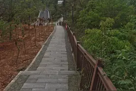 株洲凤凰山纪行图片