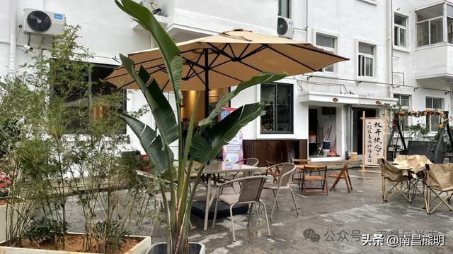 湾里揽胜：蟠龙峰下茶养云